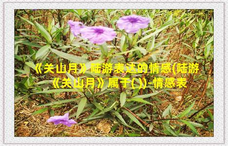 《关山月》陆游表达的情感(陆游《关山月》属于( ))-情感表达-情感表达